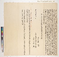 藏品(同治九年郡城內楊碧源向郡城內安海街張襟記立轉典契字（典期四年）)的圖片